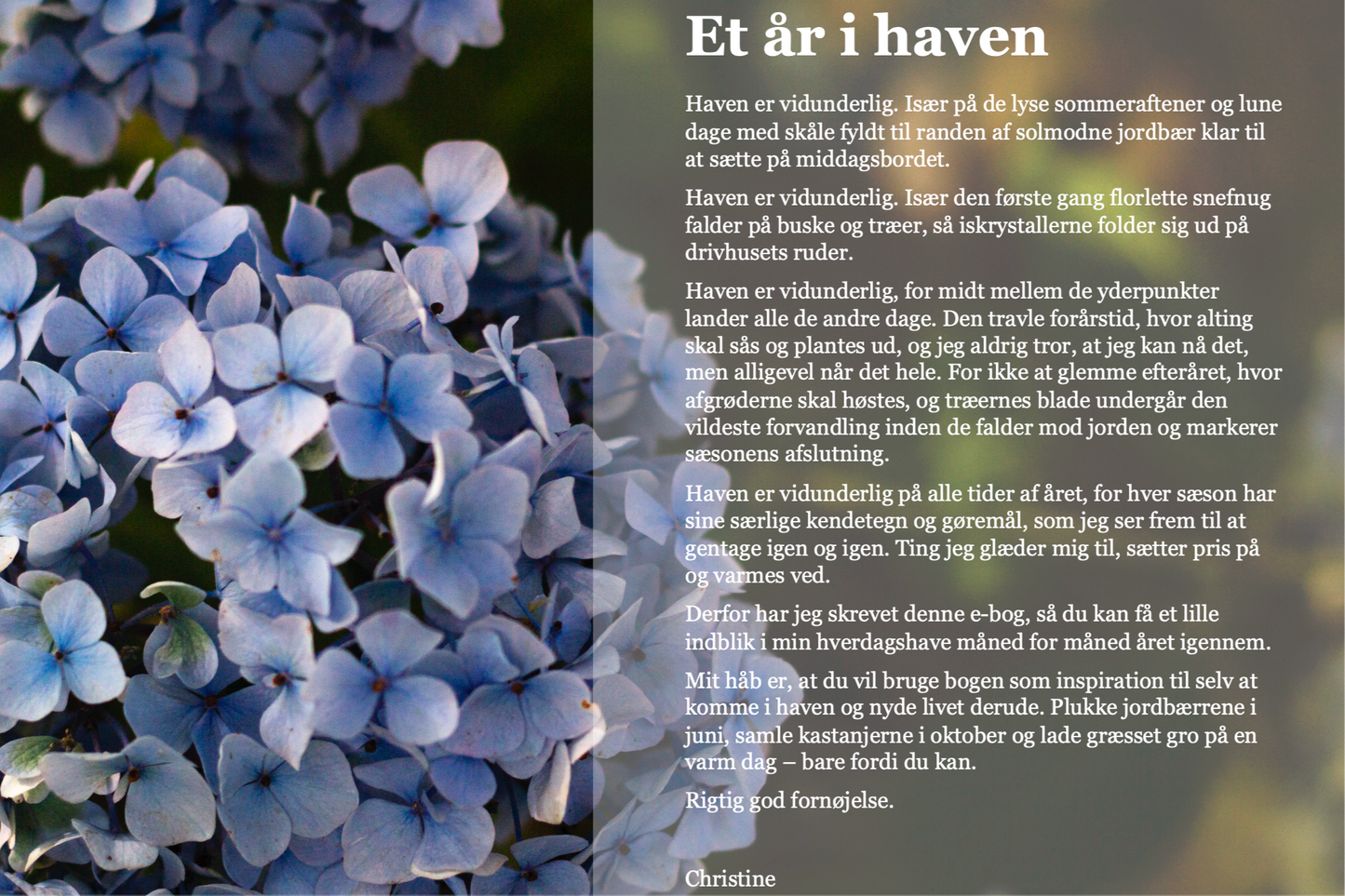 Et år i haven